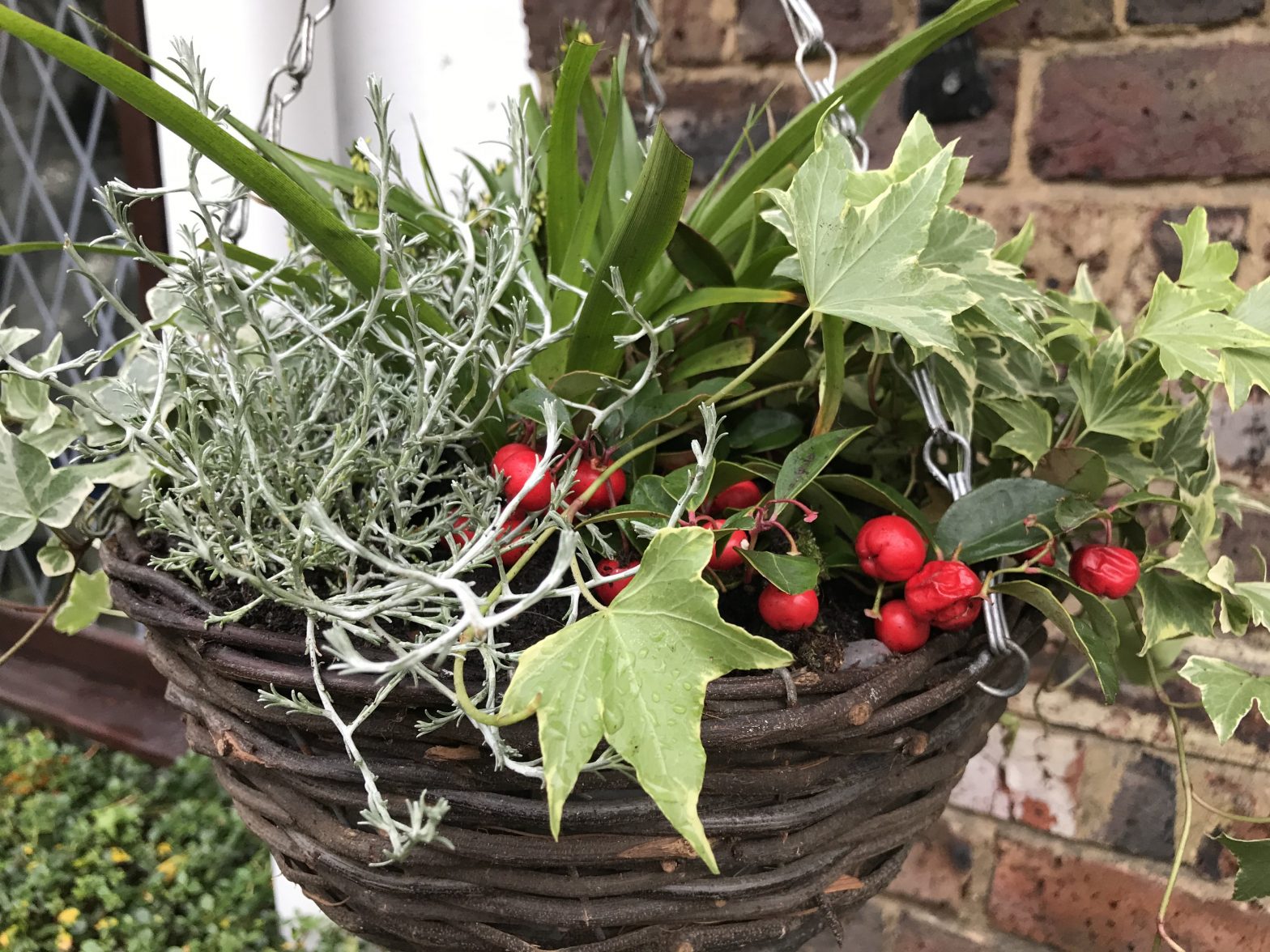 winter-hanging-basket-modern-design-winter-hanging-baskets